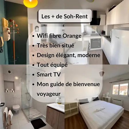 Soh Rent Neudorf Menagerie Tv - Wifi Appartement Strasbourg